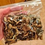 Buy Psilocybin